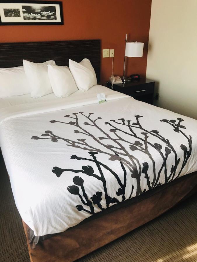 Sleep Inn North Charleston Ashley Phosphate Ngoại thất bức ảnh