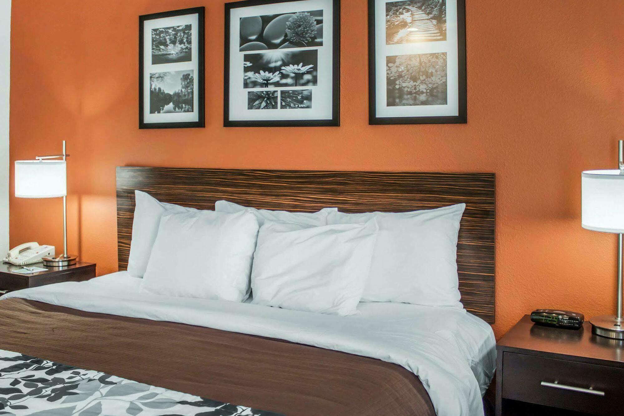 Sleep Inn North Charleston Ashley Phosphate Ngoại thất bức ảnh